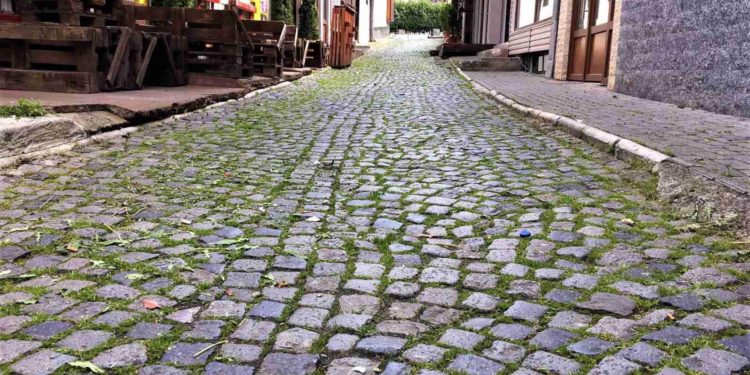 Kalldrëmin e pashkelur në Prizren e mbulon bari