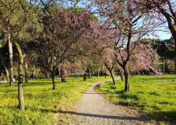 Kthehet moti pranveror, sot ngrohtë dhe me diell