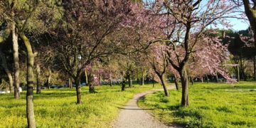 Kthehet moti pranveror, sot ngrohtë dhe me diell