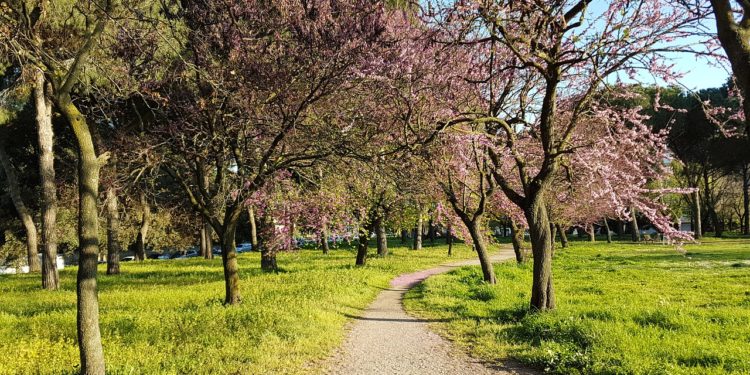 Kthehet moti pranveror, sot ngrohtë dhe me diell