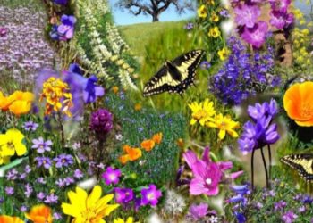 Moti nesër dhe ditëve në vazhdim! (16.4.2020)