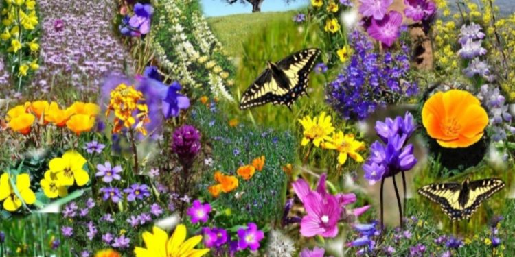 Moti nesër dhe ditëve në vazhdim! (16.4.2020)