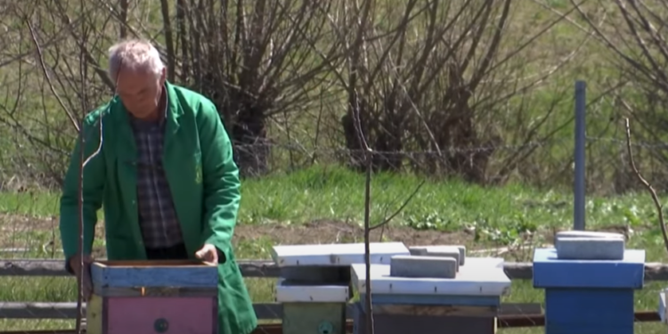 Kosovari që në moshën 63-vjeçare magjistroi për bletari