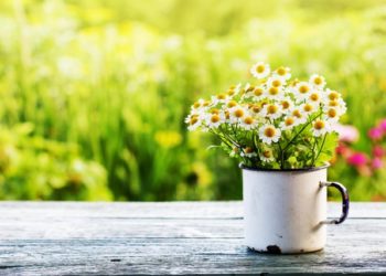 Moti për sot dhe ditët në vazhdim