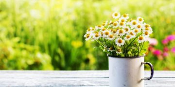 Moti për sot dhe ditët në vazhdim