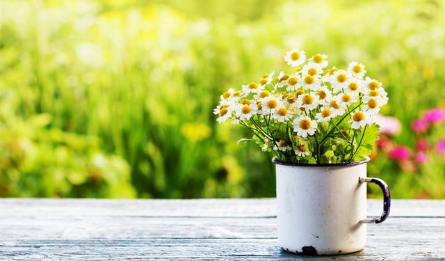 Moti për sot dhe ditët në vazhdim