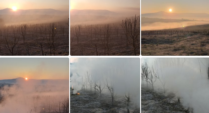 Fermeri gjakovar mbron pemishten e tij nga acari përmes tymosjes
