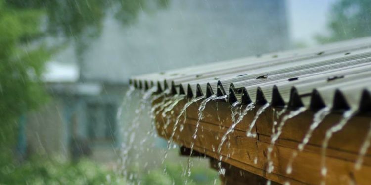 Afrohen reshjet e shiut!