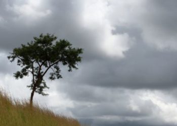 Çfarë moti na pret sot dhe gjatë vikendit