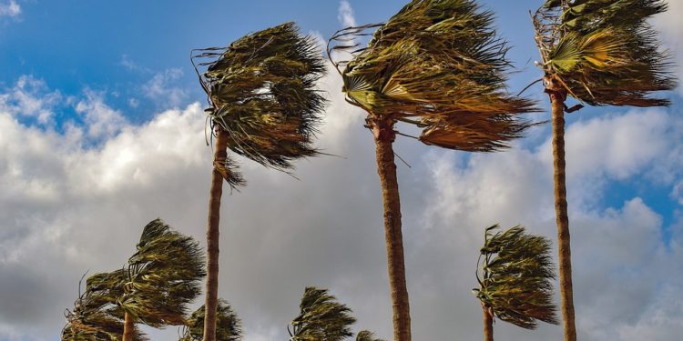 Moti nesër dhe ditëve në vazhdim! (13.4.2020.)