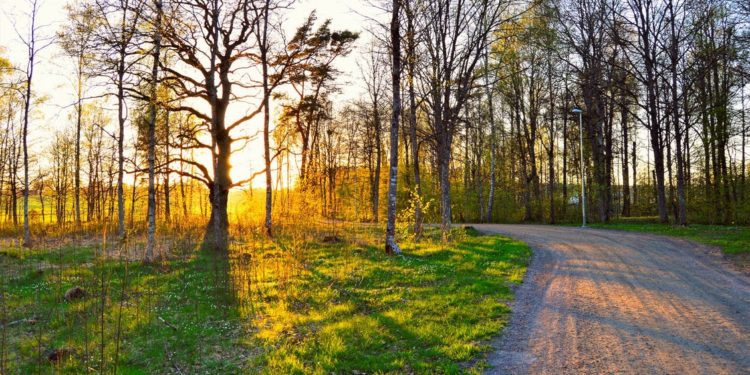 Moti për sot dhe ditët në vijim