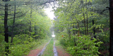 Moti për sot dhe ditët në vazhdim