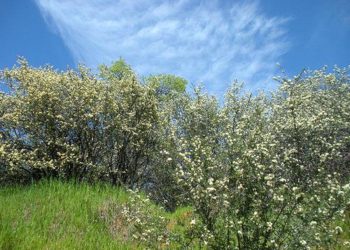 Edhe sot ditë e ngrohtë dhe me diell