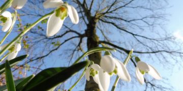 Afrohet pranvera e vërtetë!