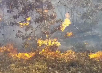 Me ngritjen e temperaturave nis edhe djegia e maleve