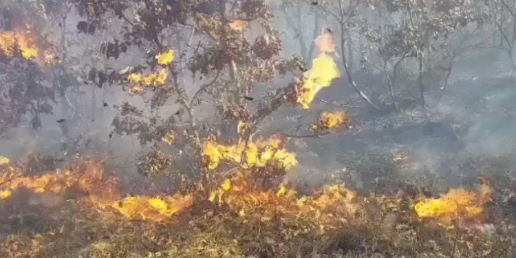 Me ngritjen e temperaturave nis edhe djegia e maleve