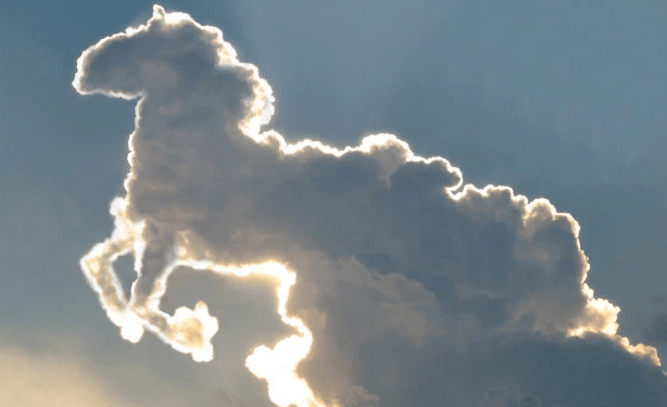 Pamje të mrekullueshme të formimit të reve të kapura në qiell