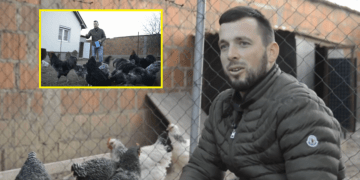 I riu nga Gjilani që është pasionant i madh i pulave