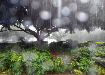 Afrohen reshjet e shiut në Kosovë