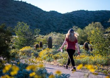 Moti për sot dhe ditët në vijim