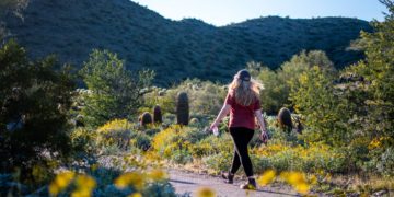 Moti për sot dhe ditët në vijim