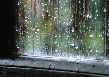 Moti për sot dhe nesër