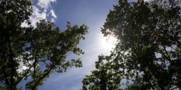 Moti nesër dhe ditëve në vazhdim! (09.06.2020.)