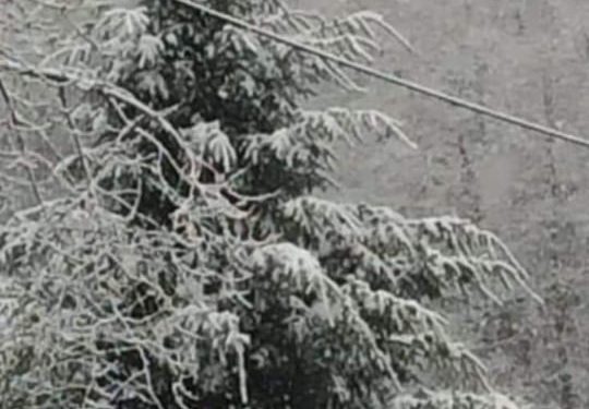 Reshje të dendura bore në disa rajone malore të Kosovës sot