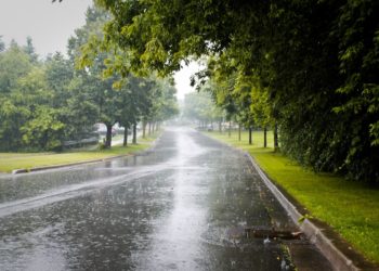 Vazhdon mot i vranët dhe me reshje shiu