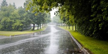 Vazhdon mot i vranët dhe me reshje shiu