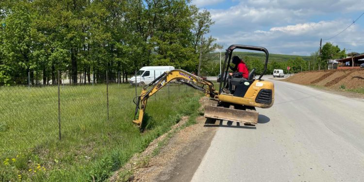 Në Rahovec nisi mbjellja e 10 mijë drunjve