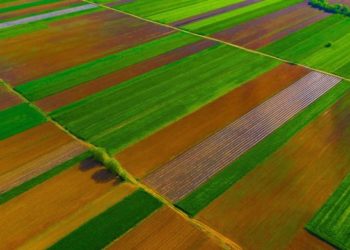 Nuk është Holanda, këto janë pamje të fushave të Kosovës