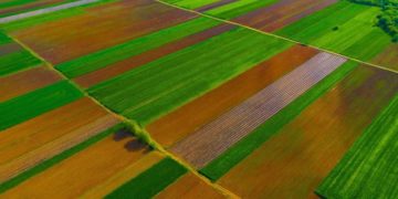 Nuk është Holanda, këto janë pamje të fushave të Kosovës