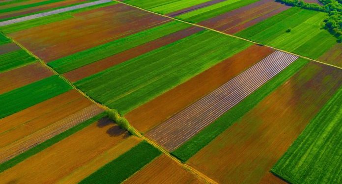 Nuk është Holanda, këto janë pamje të fushave të Kosovës