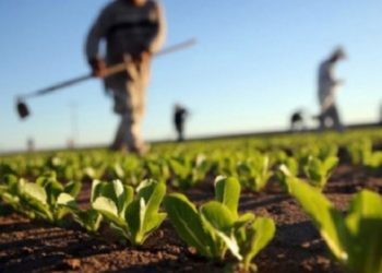 Bujqësia, ndër punët më pak të paguara në Kosovë