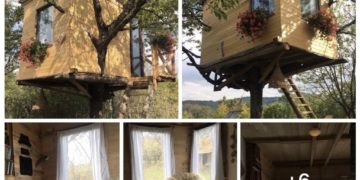 Shtëpizë në pemë, punim i mrekullueshëm i realizuar në Koliq të Prishtinës