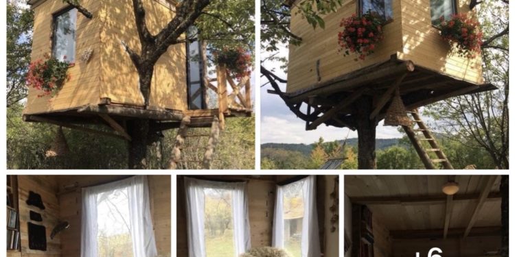 Shtëpizë në pemë, punim i mrekullueshëm i realizuar në Koliq të Prishtinës