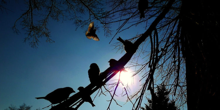 Moti për ditën  e sotme