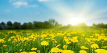 Moti për sot dhe nesër