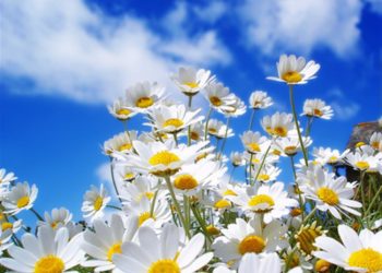 Kthehet dielli – ngriten temperaturat