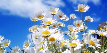 Kthehet dielli – ngriten temperaturat