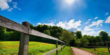 Kthehet dielli, sot mot i këndshëm dhe i nxehtë