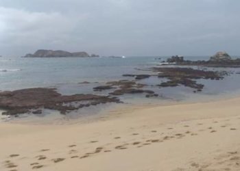 Tërmeti i fuqishëm në Meksikë, ndërtesa nis e tundet, shikoni çfarë ndodh në det