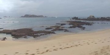 Tërmeti i fuqishëm në Meksikë, ndërtesa nis e tundet, shikoni çfarë ndodh në det