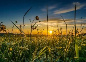 Moti për ditën e sotme