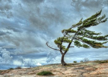 Moti për ditën e sotme, fuqizohen erërat