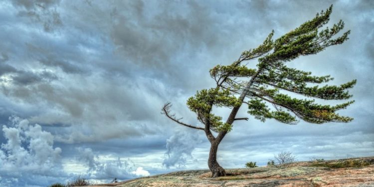 Moti për ditën e sotme, fuqizohen erërat