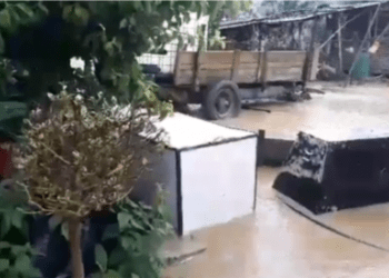 Reshjet e mëdha të shiut, vërshohen disa shtëpi në Prishtinë