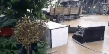 Reshjet e mëdha të shiut, vërshohen disa shtëpi në Prishtinë