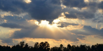 Moti për ditën e sotme